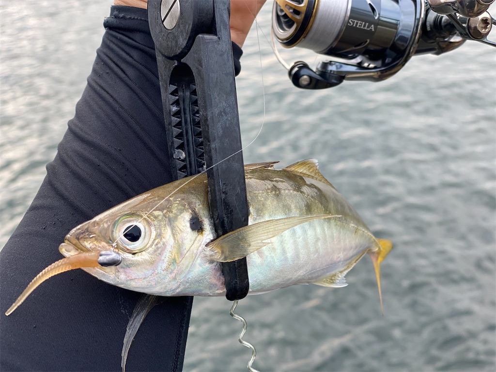 f:id:hama-tyan:20210803220517j:image f:id:hama-tyan:20210803220517j:image