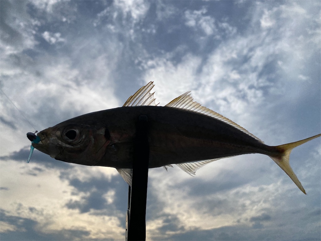 f:id:hama-tyan:20210803220528j:image f:id:hama-tyan:20210803220528j:image