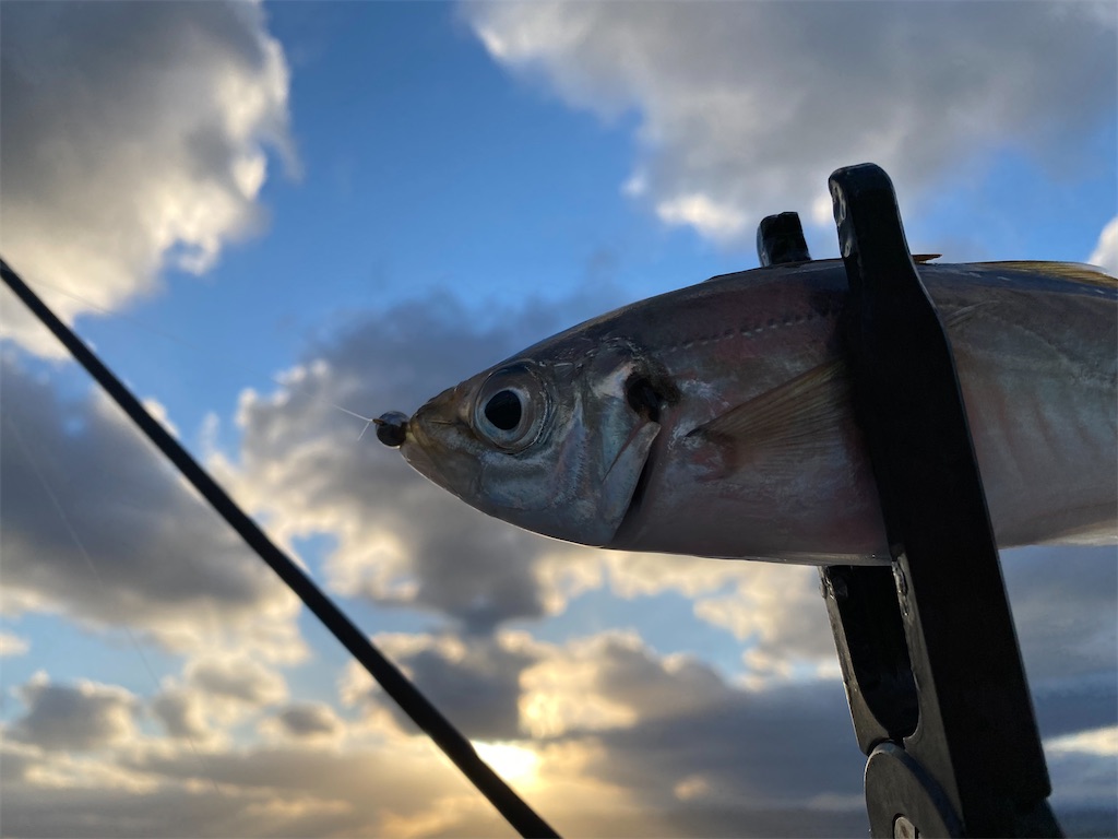 f:id:hama-tyan:20211216130322j:image f:id:hama-tyan:20211216130322j:image