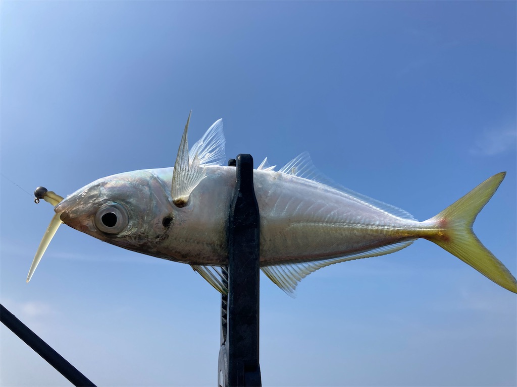 f:id:hama-tyan:20221002213957j:image f:id:hama-tyan:20221002213957j:image