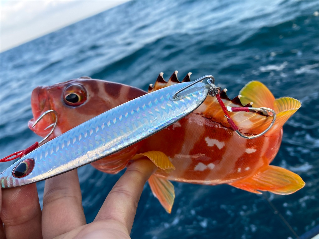 f:id:hama-tyan:20221121090547j:image