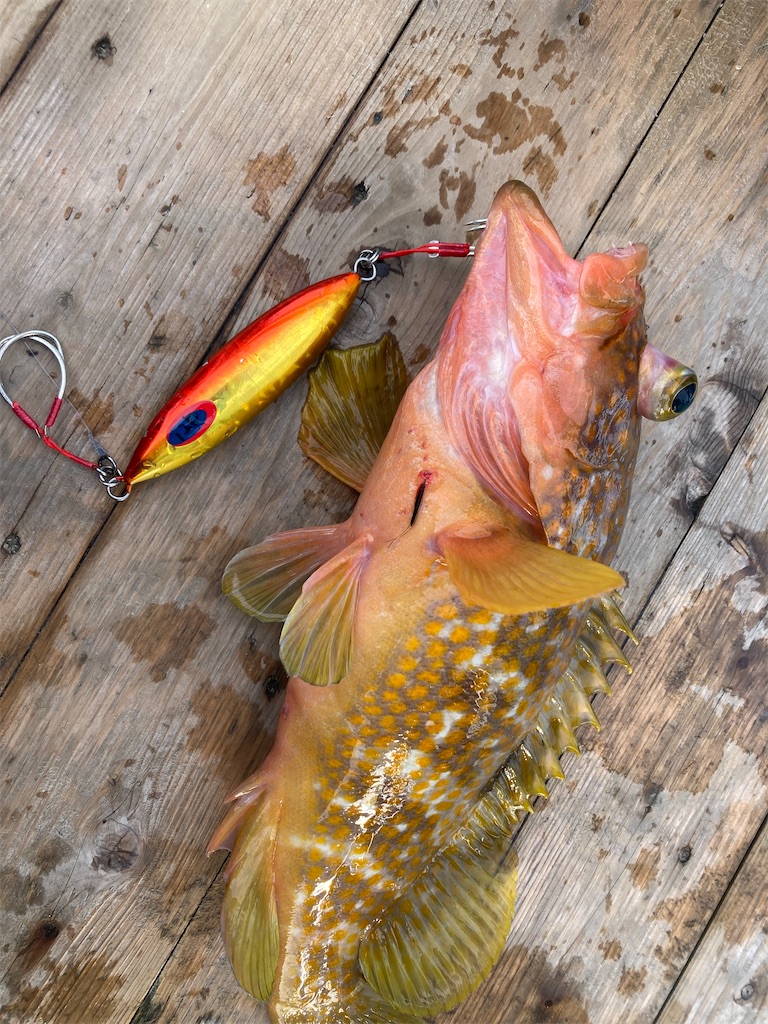 f:id:hama-tyan:20221121090551j:image