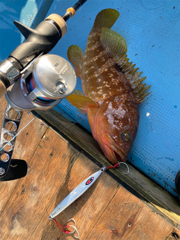 f:id:hama-tyan:20221121090553j:image