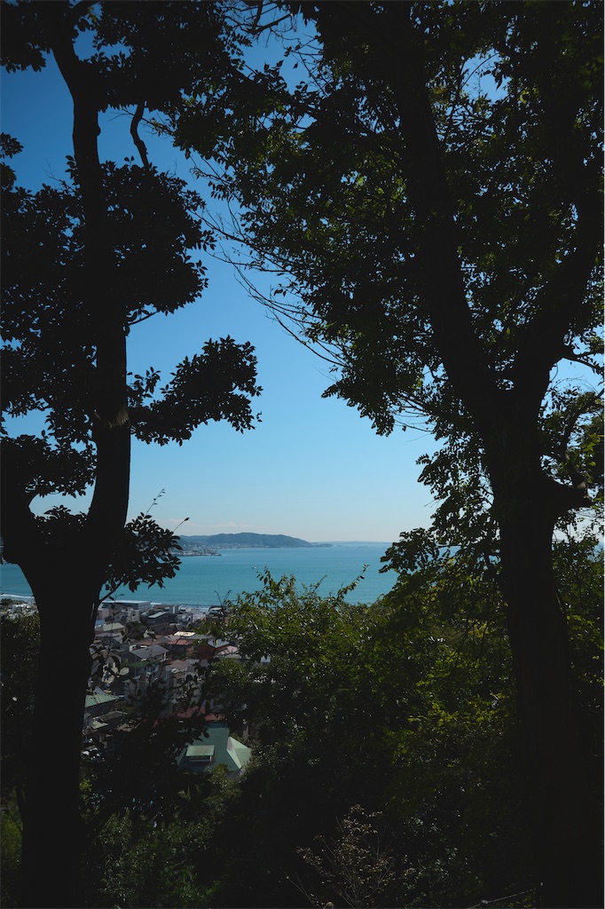 f:id:hama0919:20231017200133j:image