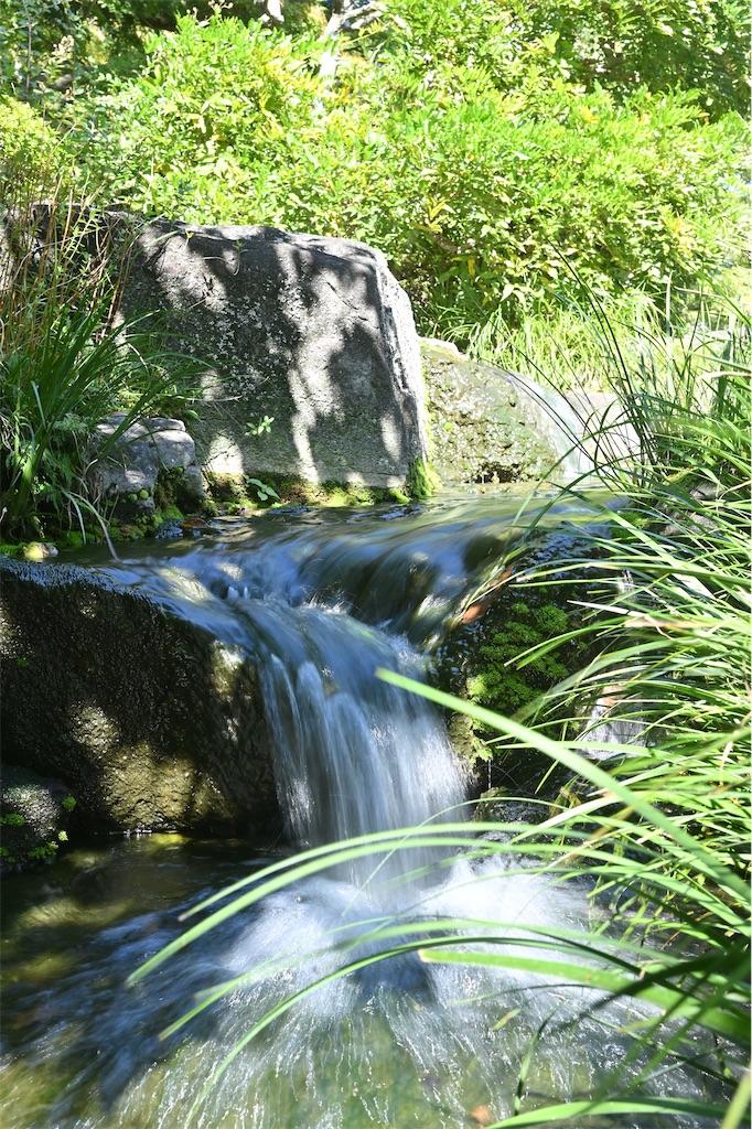 f:id:hama0919:20231017200223j:image