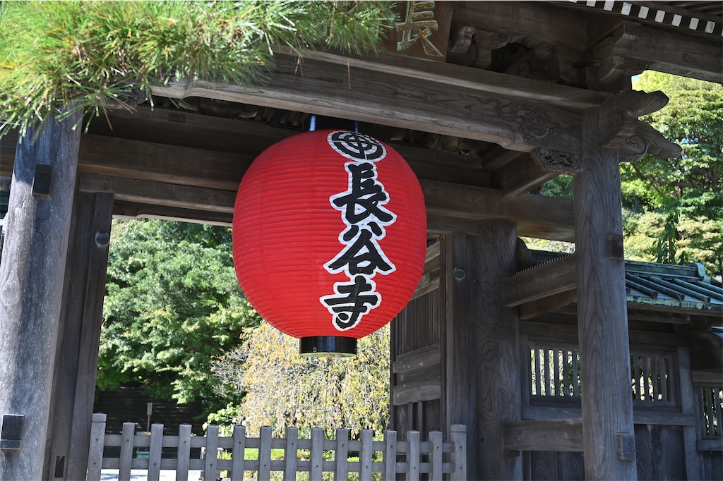 f:id:hama0919:20231017200350j:image