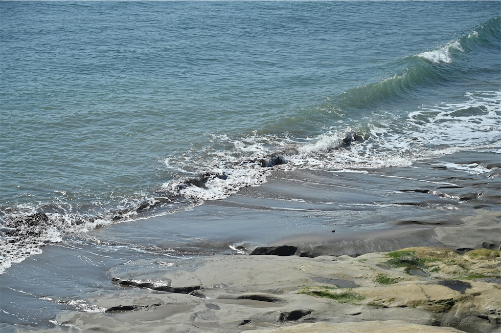 f:id:hama0919:20231019214406j:image