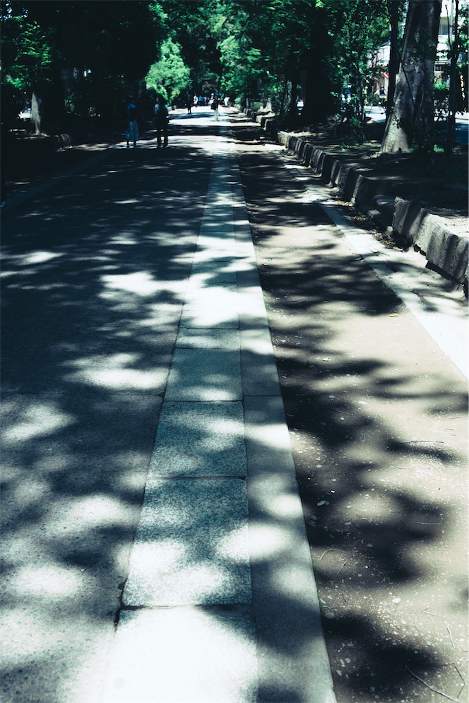 f:id:hama0919:20240529200347j:image
