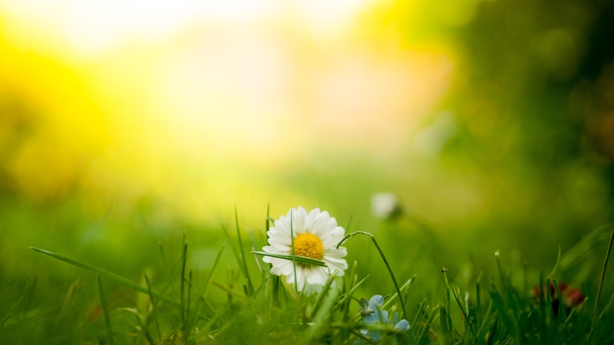 f:id:hama_nn:20190520192227j:plain f:id:hama_nn:20190520192227j:plain
