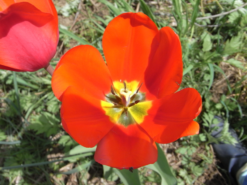 f:id:hamabase2021:20210603115414j:plain