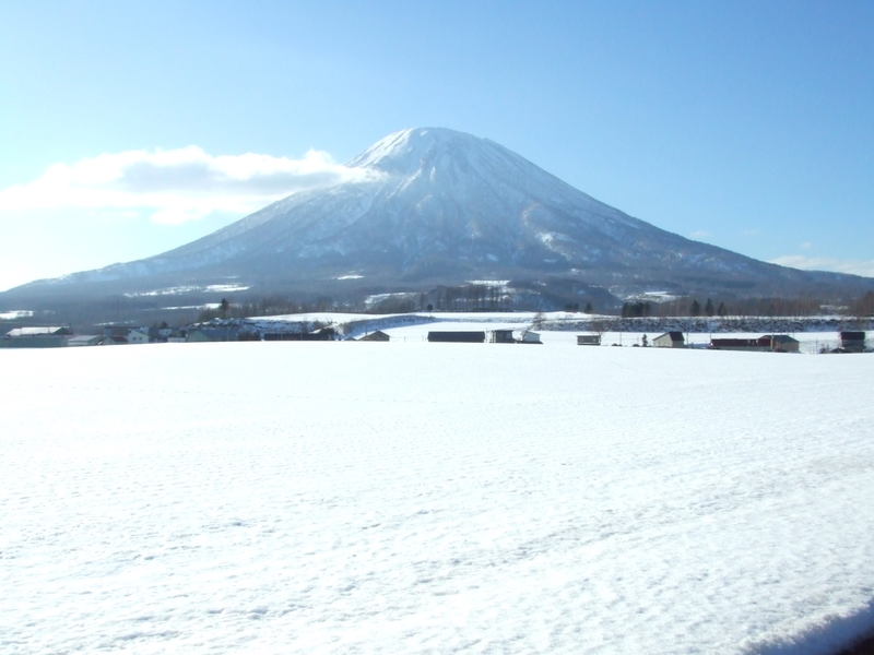 f:id:hamabase2021:20210603120213j:plain