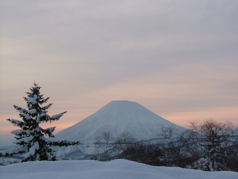 f:id:hamabase2021:20210603121018j:plain
