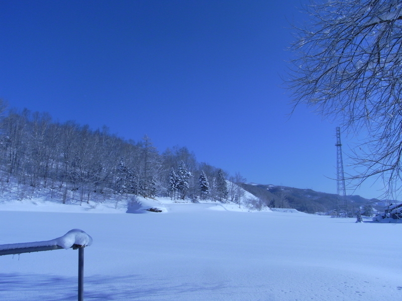 f:id:hamabase2021:20210603122833j:plain