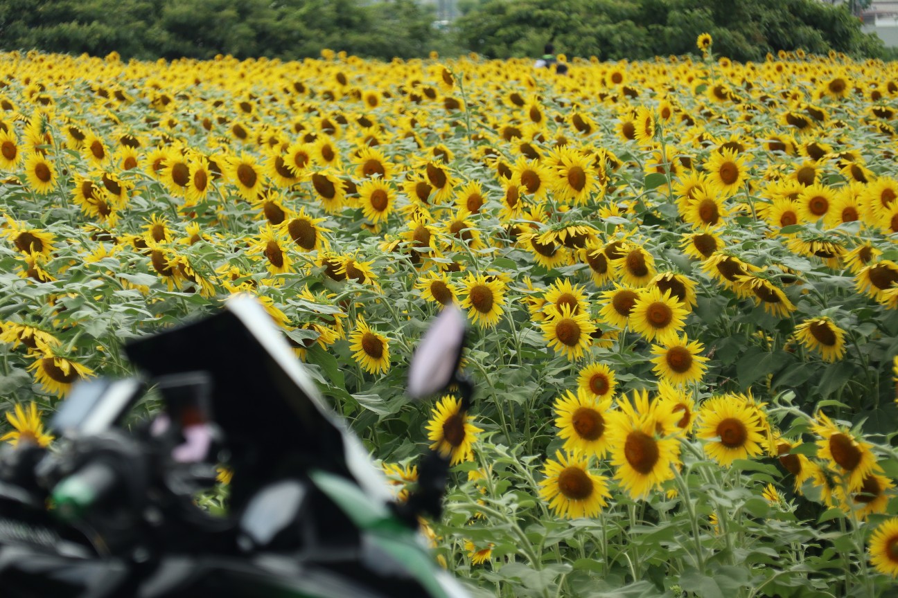 f:id:hamachan819:20221112143236j:image