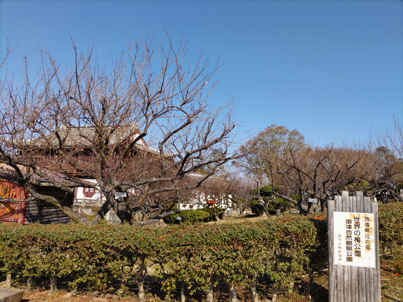 f:id:hamachan819:20221113182051j:image