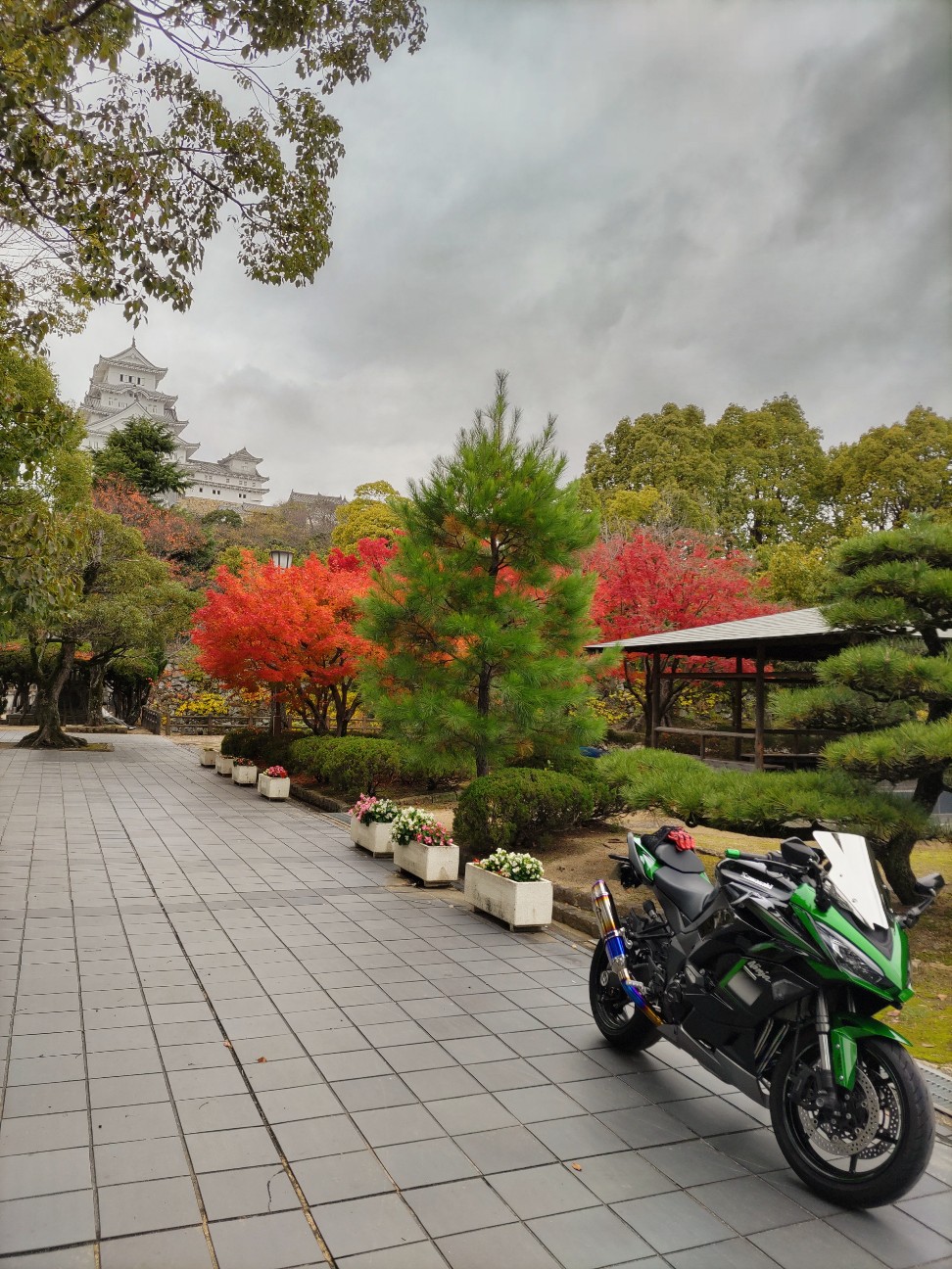 f:id:hamachan819:20221124184143j:image