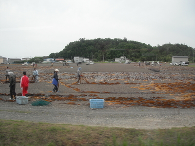f:id:hamachanz:20200711210724j:plain f:id:hamachanz:20200711210724j:plain