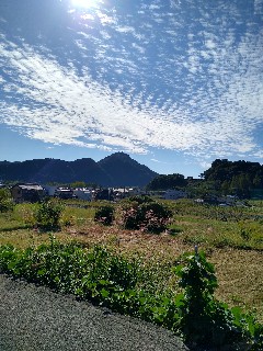 f:id:hamacho8F:20230630070937j:image
