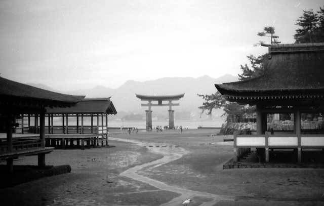 厳島神社から大鳥居を見る
