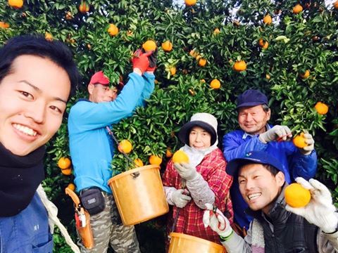 f:id:hamada_peacewalker:20161113115344j:plain