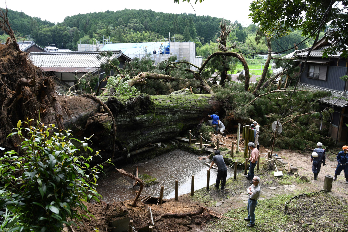 f:id:hamajaya_ken:20200713230343j:plain f:id:hamajaya_ken:20200713230343j:plain