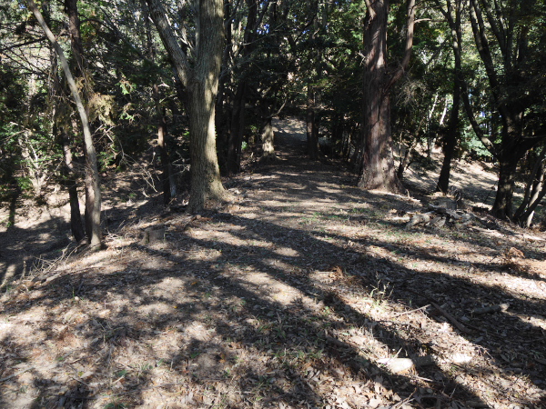 f:id:hamajiu:20190112172647j:plain f:id:hamajiu:20190112172647j:plain
