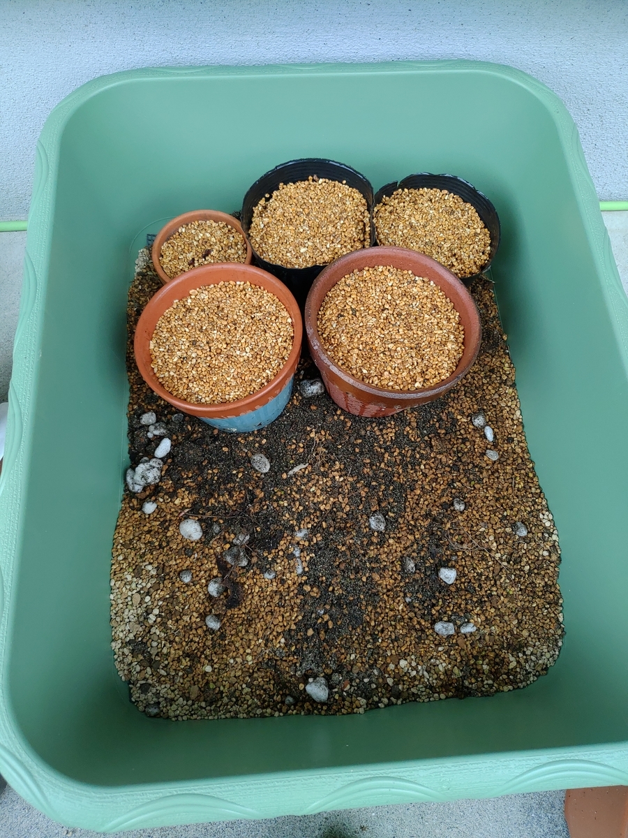 f:id:hamaken1995:20191201141444j:plain