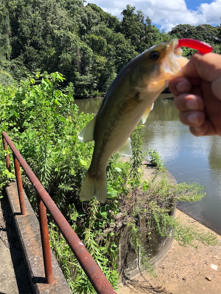 f:id:hamakita_bass:20190813195438j:image f:id:hamakita_bass:20190813195438j:image
