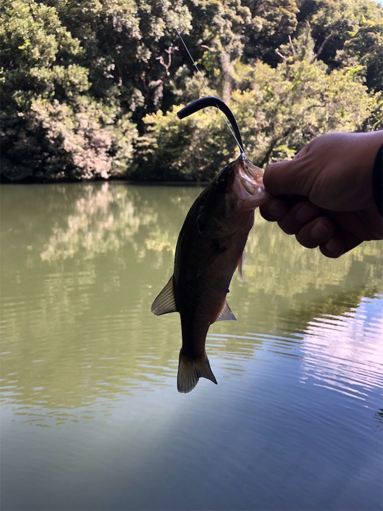 f:id:hamakita_bass:20190813195451j:image f:id:hamakita_bass:20190813195451j:image