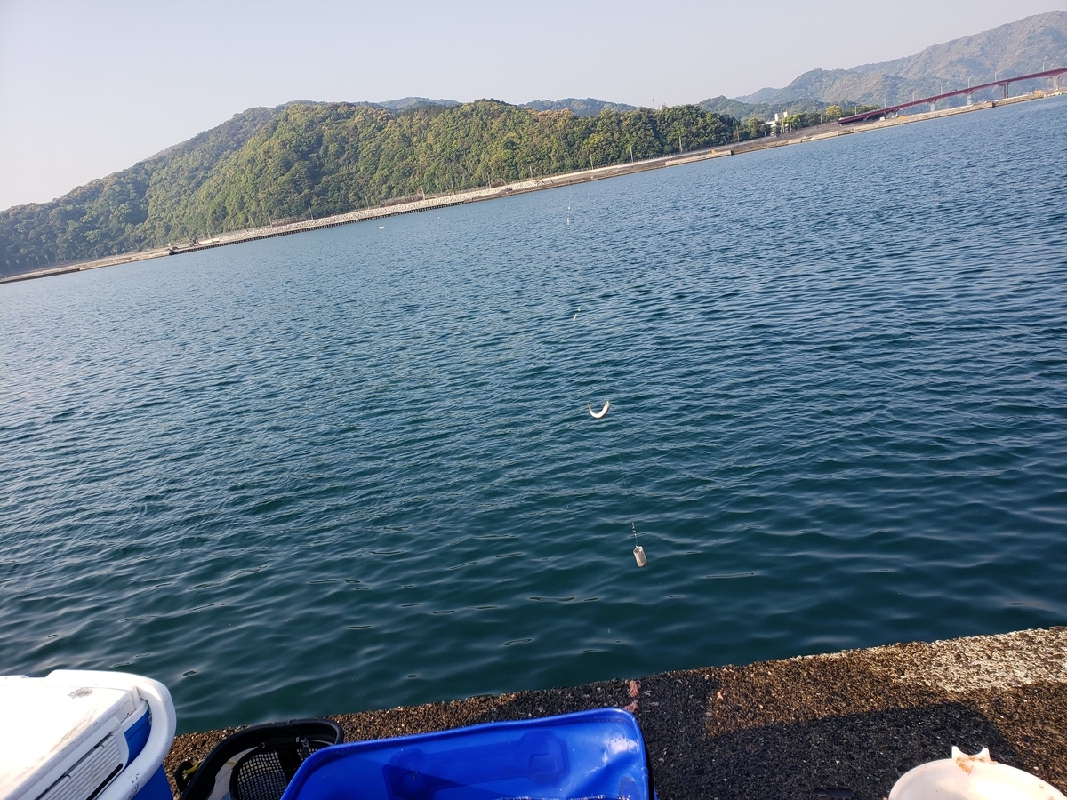 f:id:hamakituneta:20200501191056j:plain f:id:hamakituneta:20200501191056j:plain