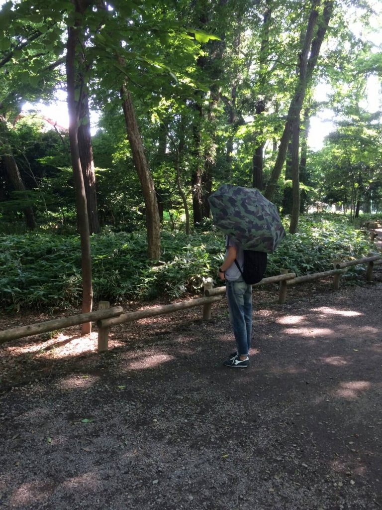 f:id:hamalogchan:20160619150153j:plain f:id:hamalogchan:20160619150153j:plain
