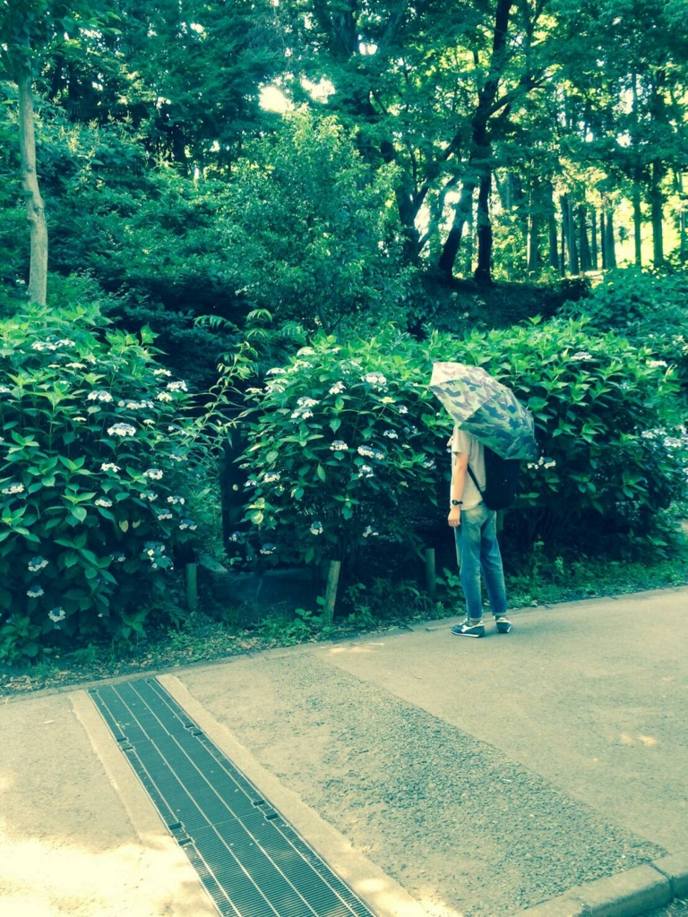 f:id:hamalogchan:20160619150208j:plain f:id:hamalogchan:20160619150208j:plain