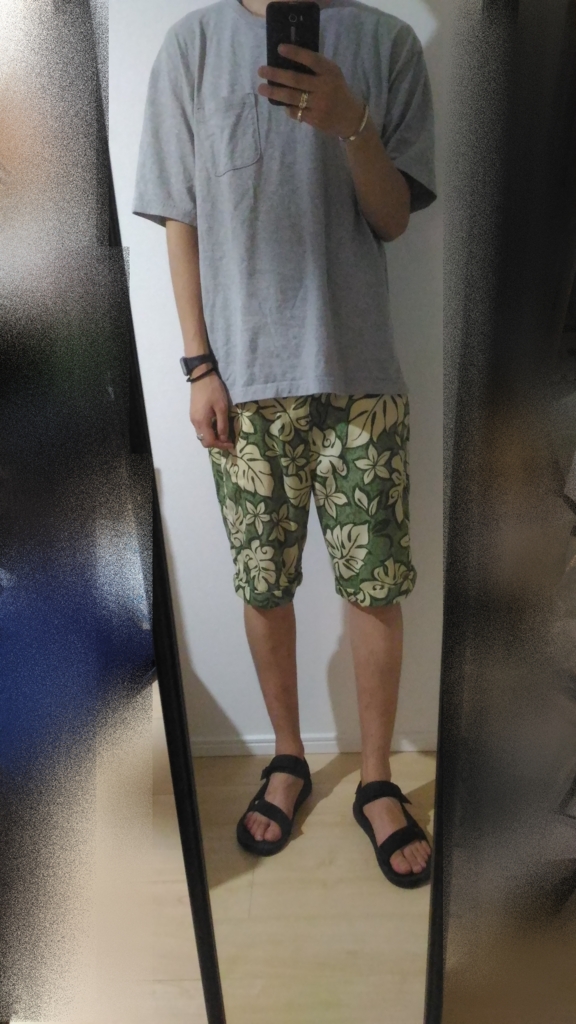 f:id:hamalogchan:20160904223121j:plain f:id:hamalogchan:20160904223121j:plain