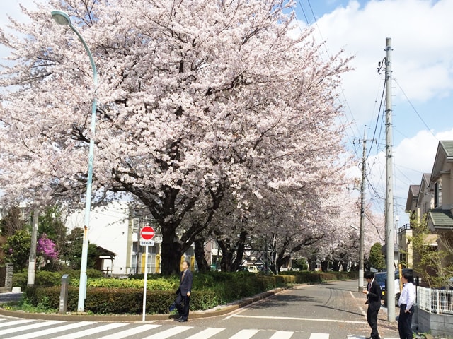 f:id:hamalogchan:20170415214605j:plain f:id:hamalogchan:20170415214605j:plain