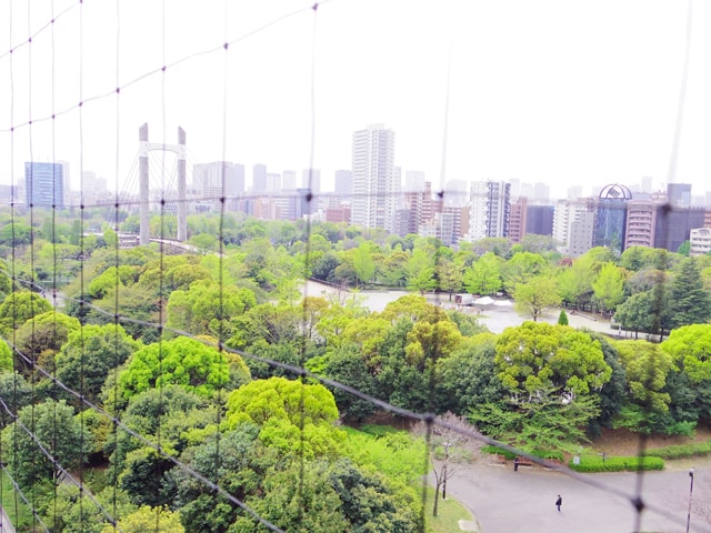 f:id:hamalogchan:20170423163338j:plain f:id:hamalogchan:20170423163338j:plain