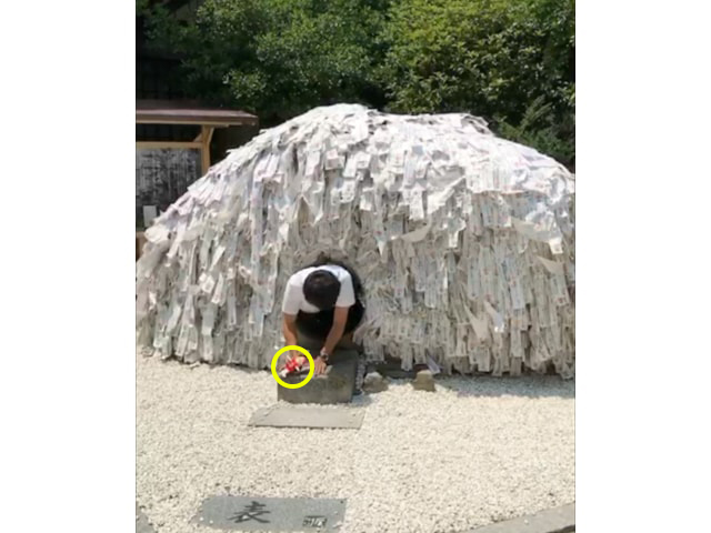 f:id:hamalogchan:20170717131728j:plain f:id:hamalogchan:20170717131728j:plain