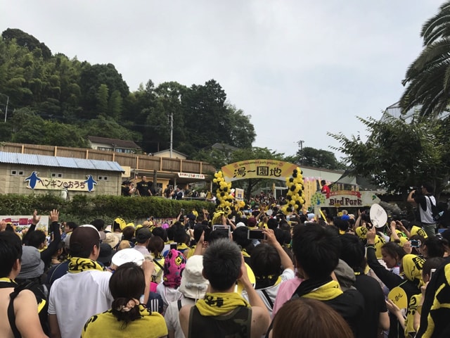 f:id:hamalogchan:20170729195830j:plain f:id:hamalogchan:20170729195830j:plain