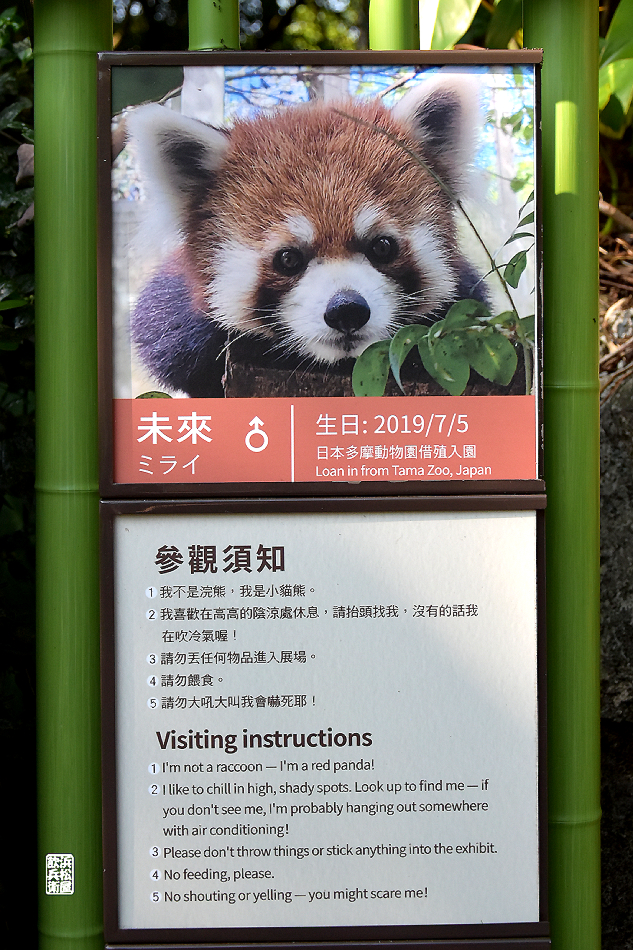 台湾旅行（その1・台北動物園） - 浜松屋飲兵衛の酔写アルバム
