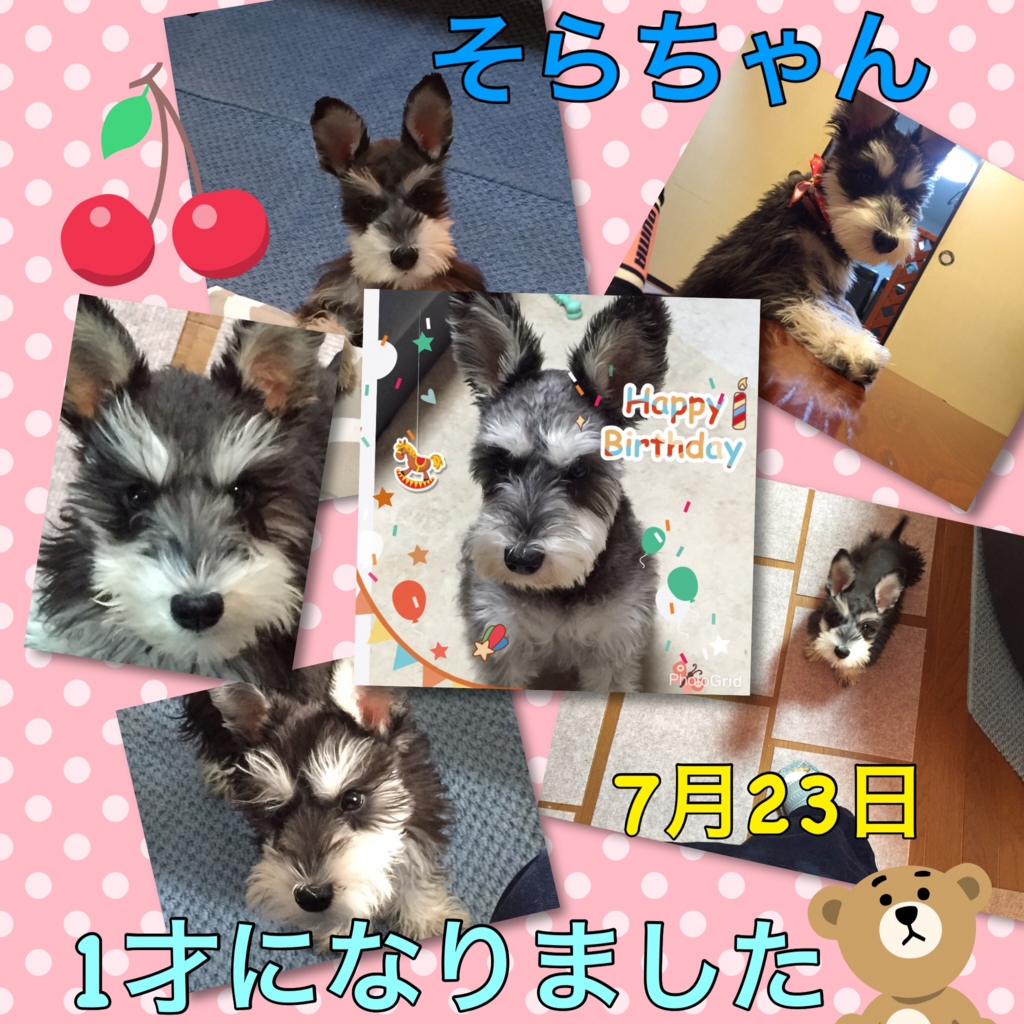 f:id:hamanaseikei:20160724144745j:plain