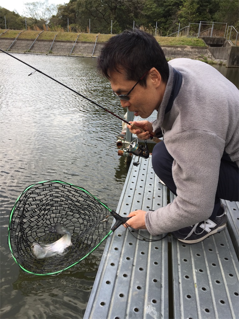 f:id:hamanaseikei:20170423133401j:image