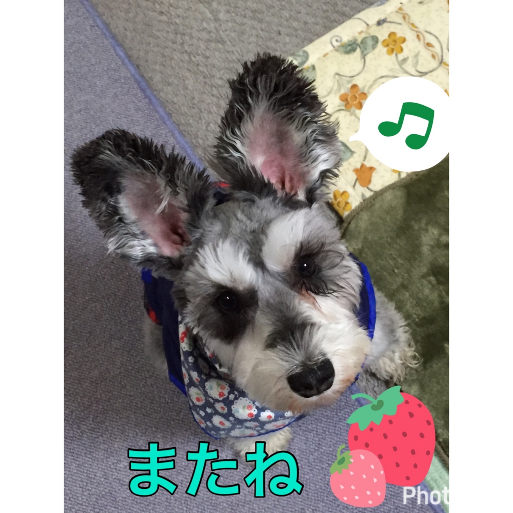 f:id:hamanaseikei:20170427003410j:plain