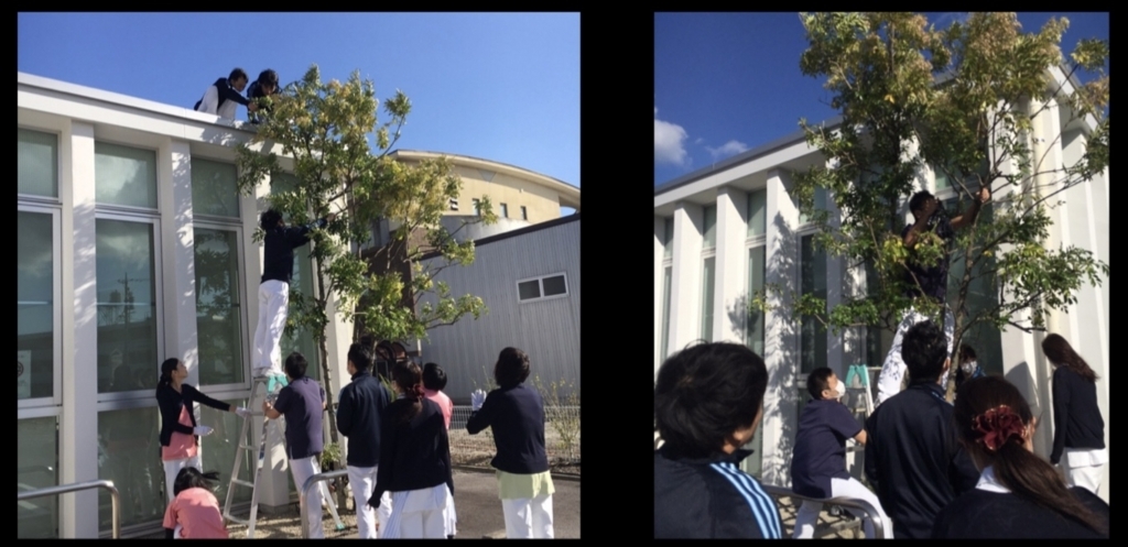 f:id:hamanaseikei:20171111200755j:plain f:id:hamanaseikei:20171111200755j:plain