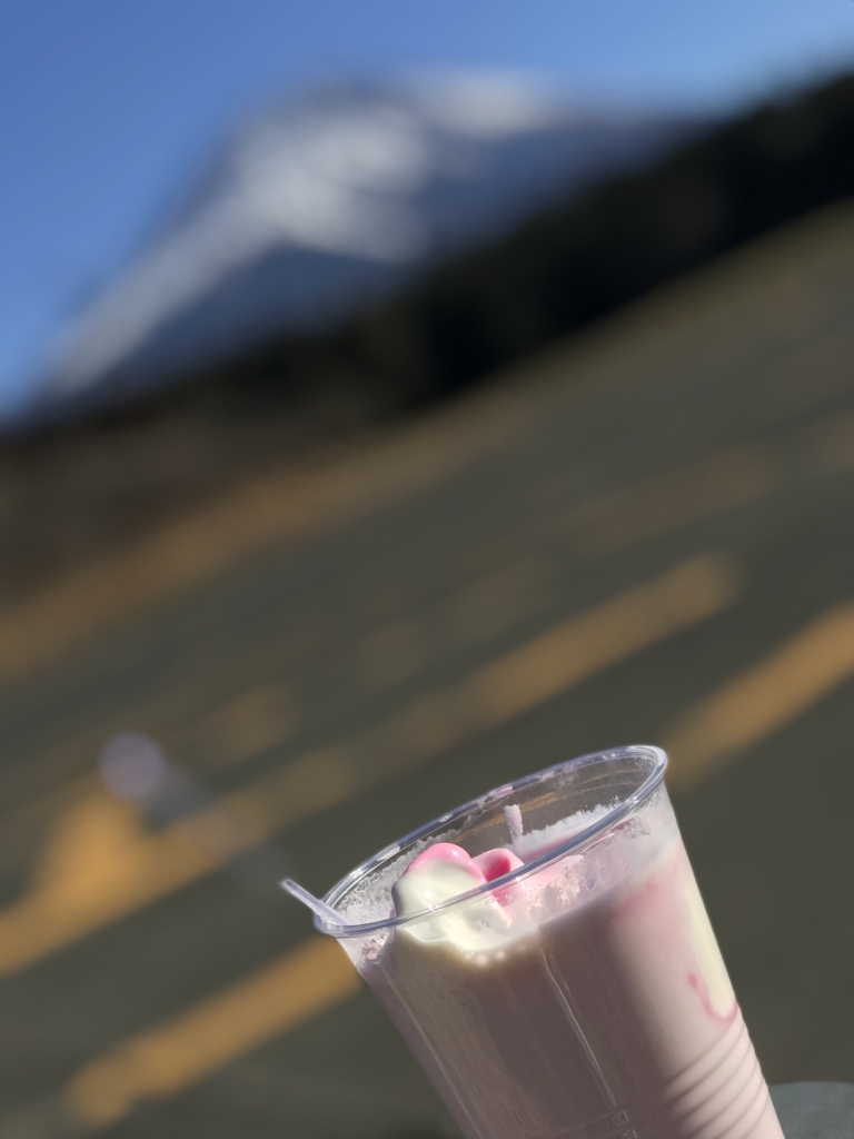 f:id:hamanaseikei:20180102122044j:plain f:id:hamanaseikei:20180102122044j:plain