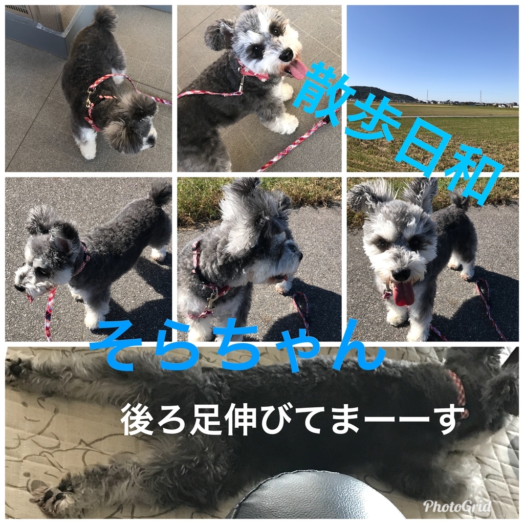 f:id:hamanaseikei:20181027164234j:plain f:id:hamanaseikei:20181027164234j:plain