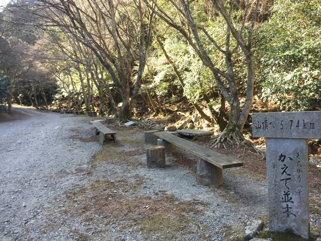 f:id:hamanaseikei:20190127103517j:plain