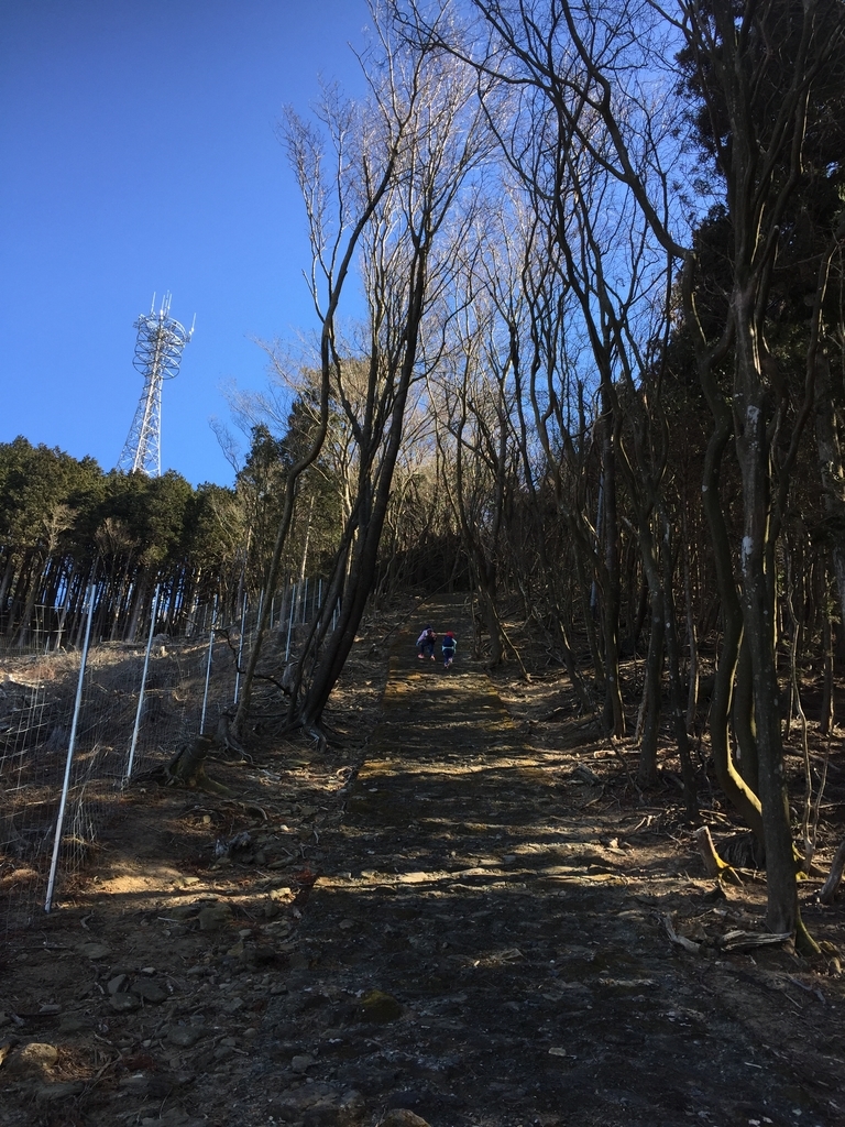 f:id:hamanaseikei:20190127120952j:plain