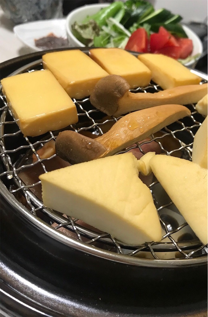f:id:hamanaseikei:20190211204926j:image
