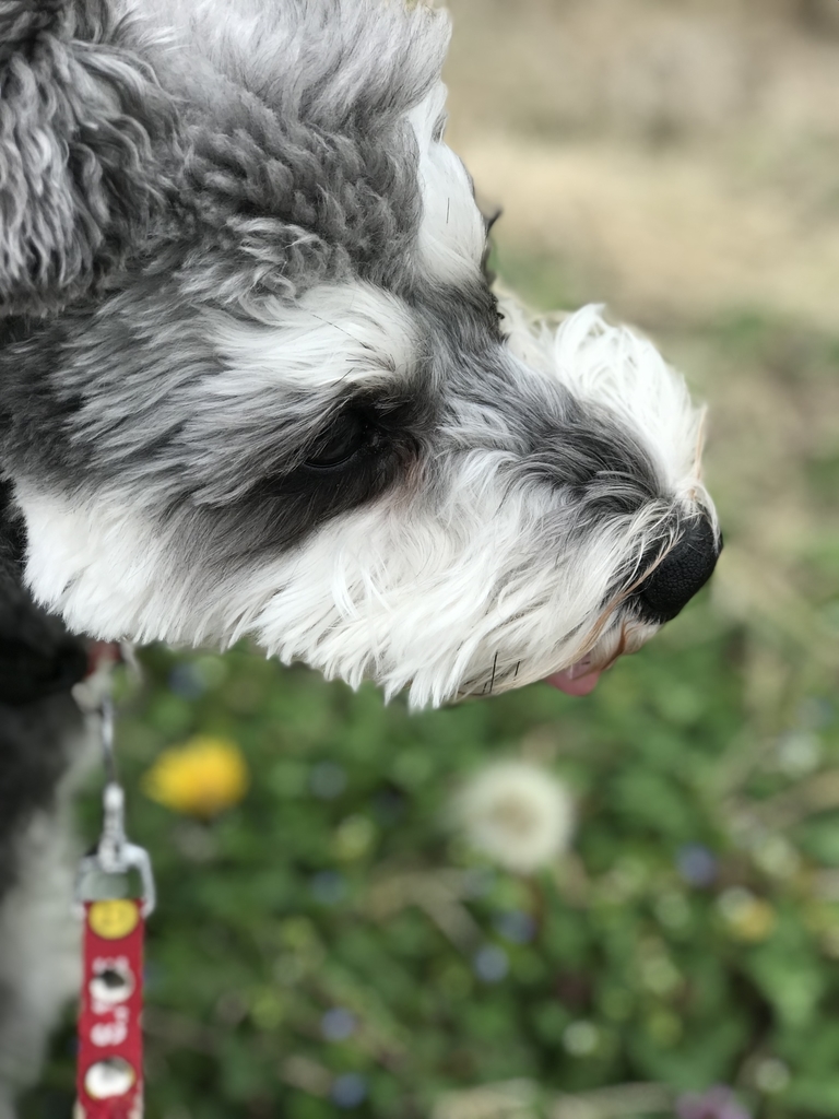 f:id:hamanaseikei:20190306151448j:plain