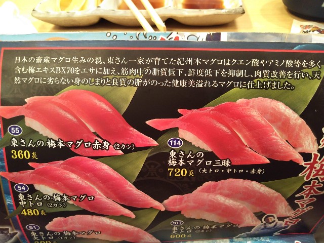 f:id:hamanaseikei:20190324200453j:image