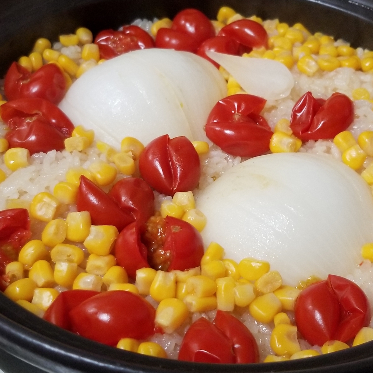 f:id:hamanaseikei:20190517223446j:plain